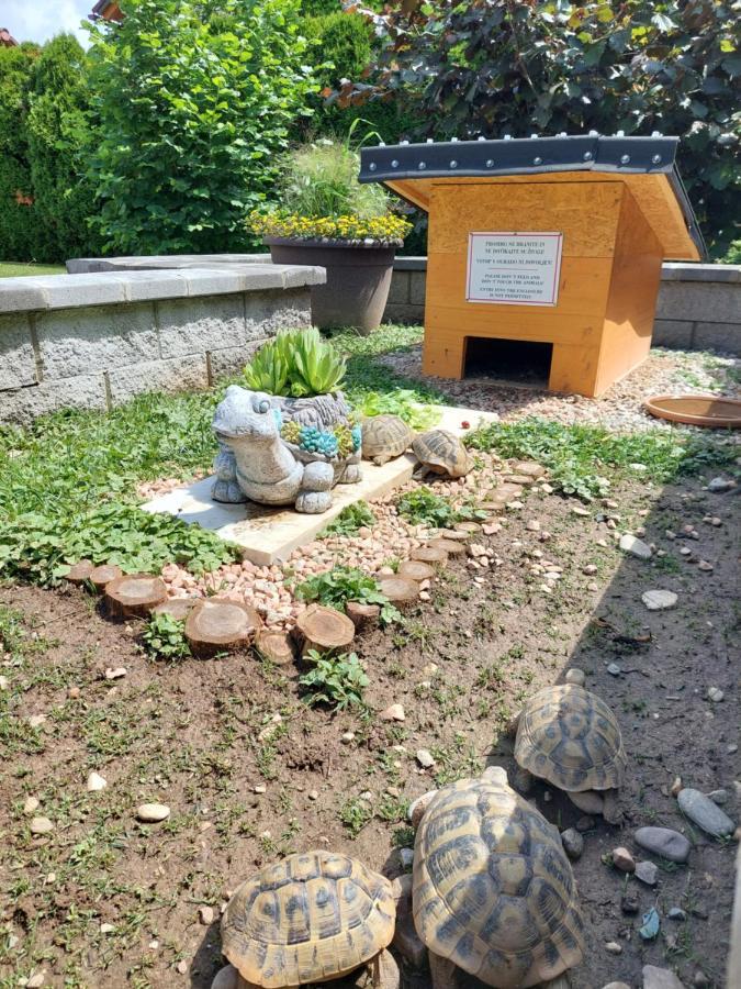 Apartma Zirovnik Cerklje na Gorenjskem Eksteriør bilde